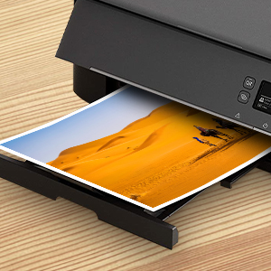 PG-545XL CL-546XL ink