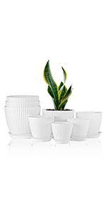 white plant pots indoor