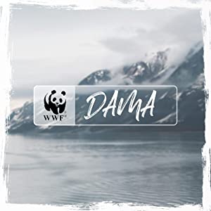 stand up paddle board