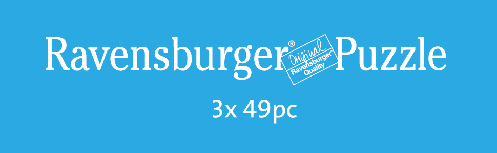 3x49 banner