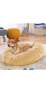 dog bed