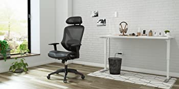 mesh office chair