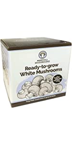 White Mushroom Kit