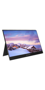 usb c 3.1 gen2 monitor