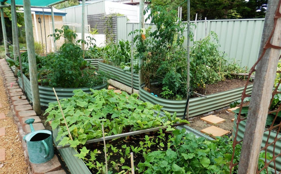 garden raised bed