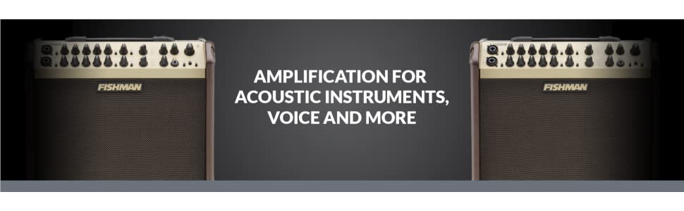 Fishman Loudbox Mini Charge Acoustic Guitar Amplifier