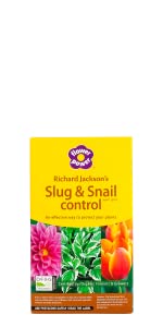 Snail & Slug