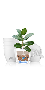 20cm plant pots indoor 6 pack