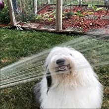 Running Bulls 7supguns