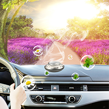 Car Air Fresheners