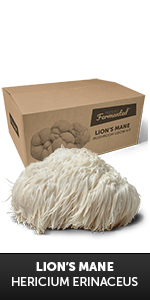 Lions Mane Grow Kit