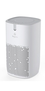BAP30 Air Purifier