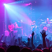 FBQ - Totally Feedback-Free