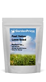 Fast Value Lawn Seed