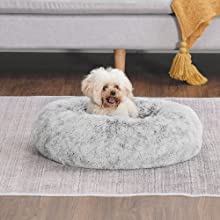 small dog bed