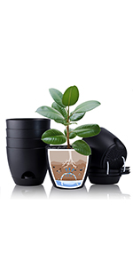 20cm plant pots indoor 6 pack