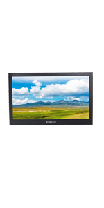 portable hdmi monitor