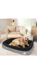 dog bed