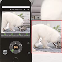 Skymee Treat AI-B20 Plus feeder