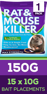 rat poisoning rat poison