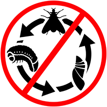 protector c insecticidal beetle protection transfluthrin infestation lakeland arcana 