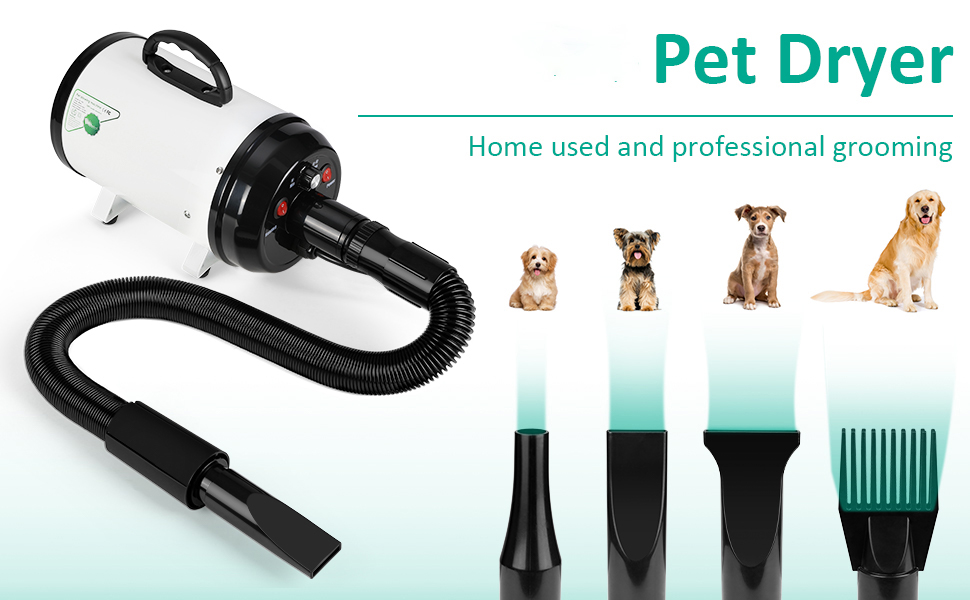 dog hair dryer