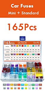 300-600-Car Fuses Assorted-165pcs-Standard-UK