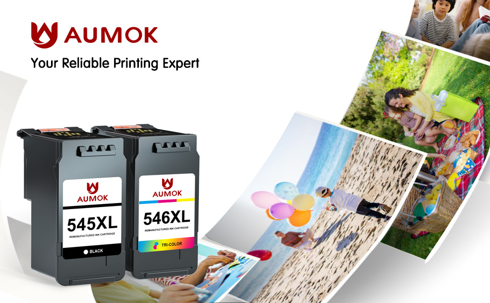 canon 545