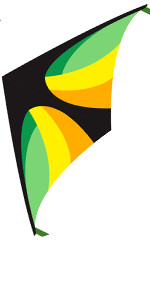 delta kite