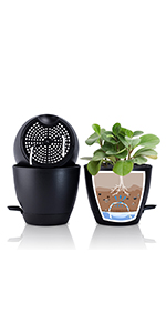 20cm plant pots indoor 3 pack