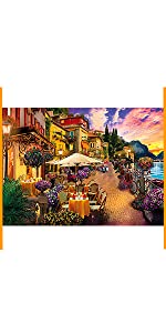 1000 pieces jigsaw puzzles for adults 3