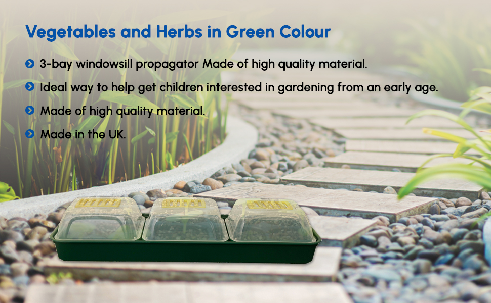 7 Piece Windowsill Propagator Set