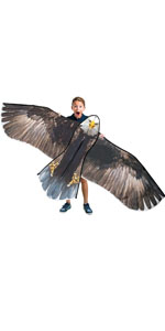 Eagle kite