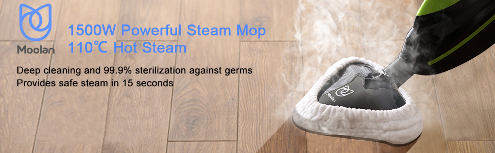 steam mop