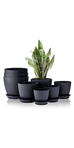 black plant pots indoor