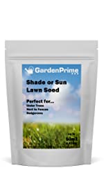 Shade or Sun Grass Seed
