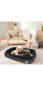 dog bed
