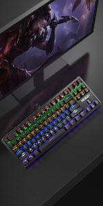 Mechanical Gaming Keyboard