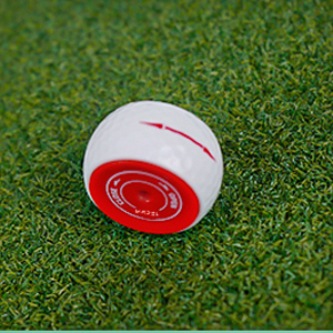 golf putter training ball