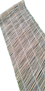 Bamboo Fence