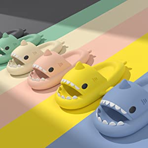 Shark Slides Size Selection