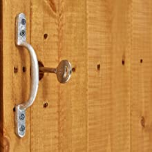 Special wood preserver