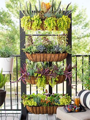 window box