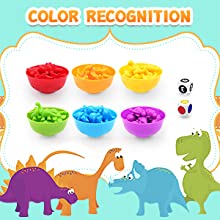 Counting Bears