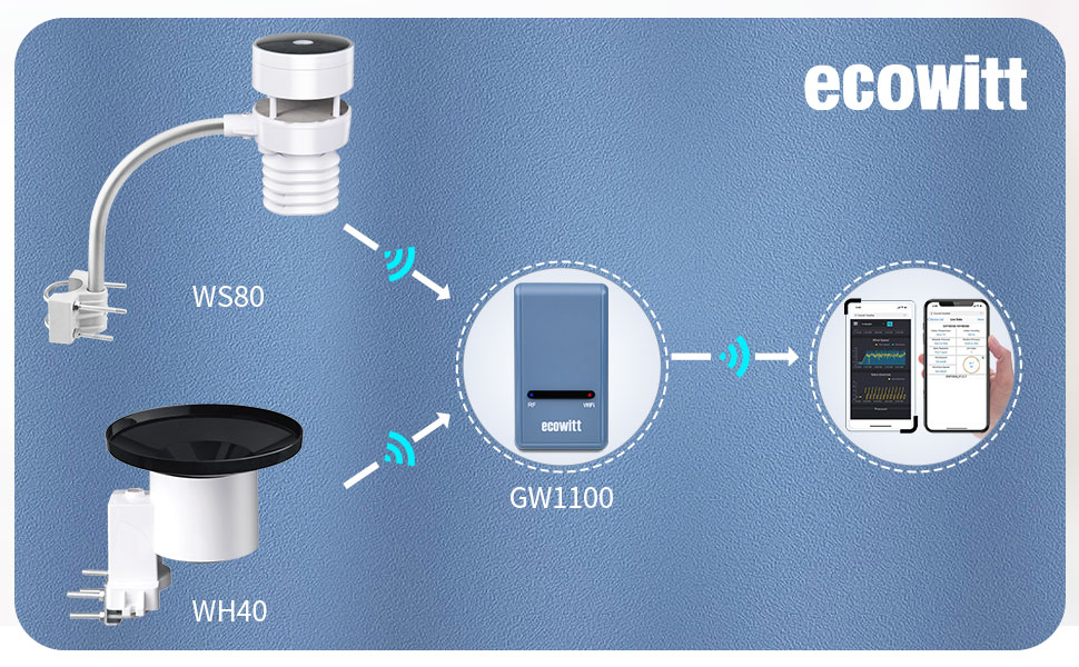 ecowitt weather station