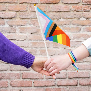 mini pride flag