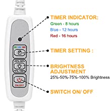50000 Hours Lifetime and High Efficiency LED Chips