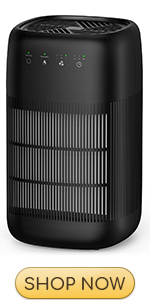 Afloia Q10 Replacement Filter