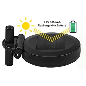 Lily Flowers Garden Lights