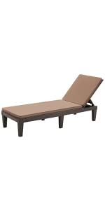 Outdoor Chaise Lounge with Cushion